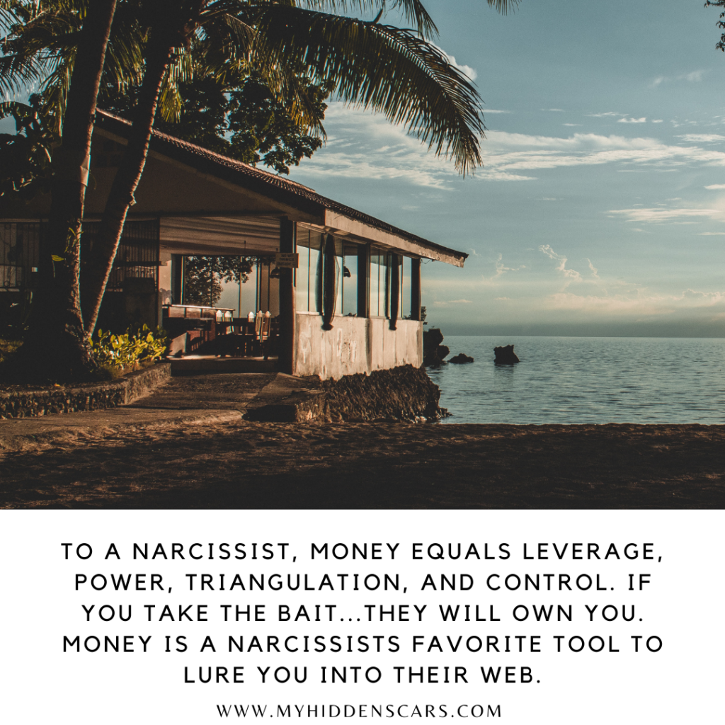 Narcissist financial abuse means that money equals leverage, power, triangulation and control. If you take the bait...they will own you.