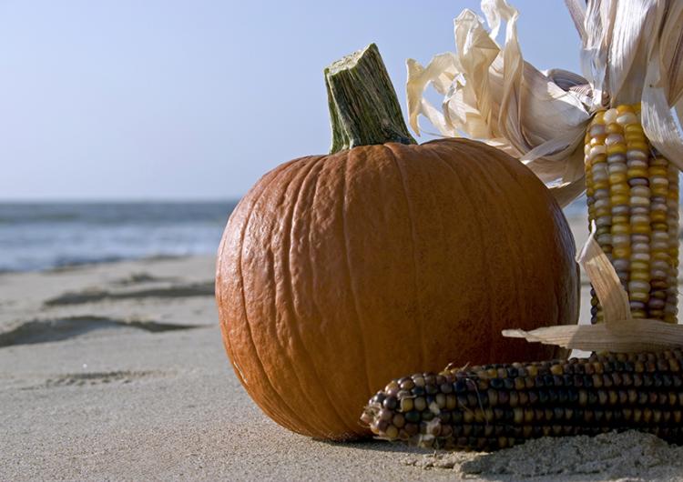 A pumpkin and corn on the Thanksgiving beach.